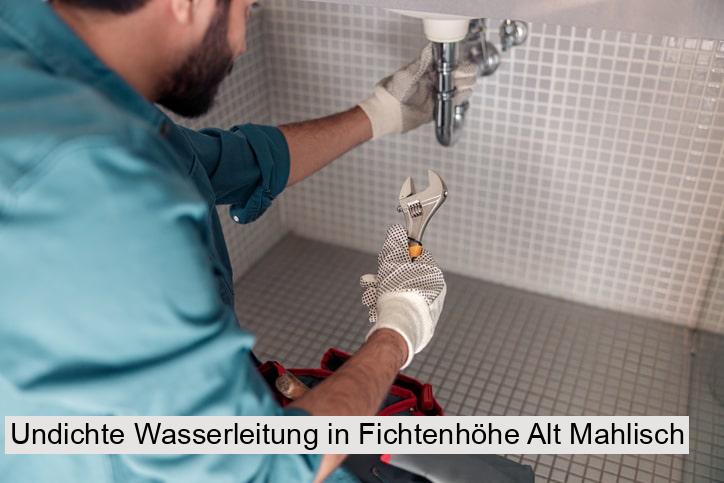 Undichte Wasserleitung in Fichtenhöhe Alt Mahlisch